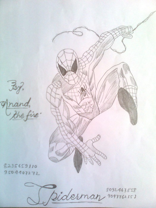 Pencil Sketch Of Spiderman - DesiPainters.com