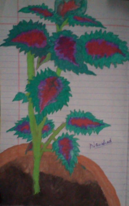 Painting Of Leaves Of A Plant