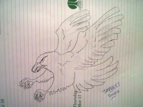 Pencil Sketch Of An Eagle - DesiPainters.com