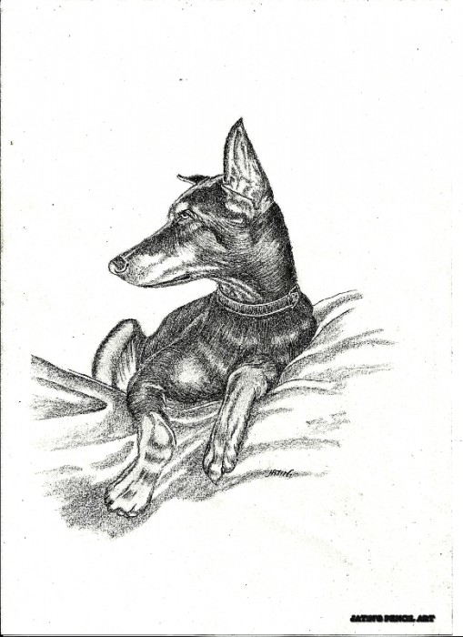Pencil Sketch Of A Dog - DesiPainters.com