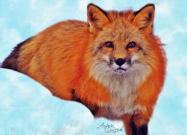 Digital Painting Of A Vixen - DesiPainters.com