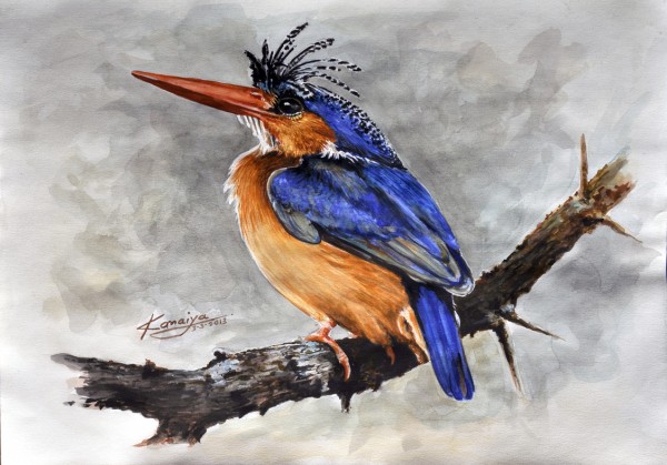 Watercolor Painting Of A Bird - DesiPainters.com