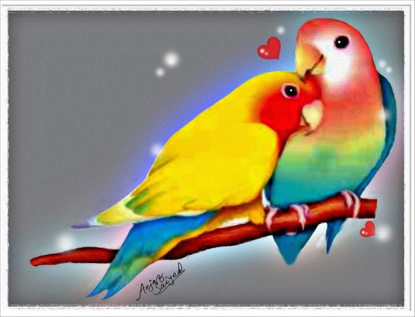Digital Painting Of Love Birds
