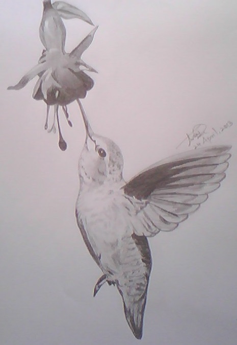 Acryl Painting Of A Hummingbird