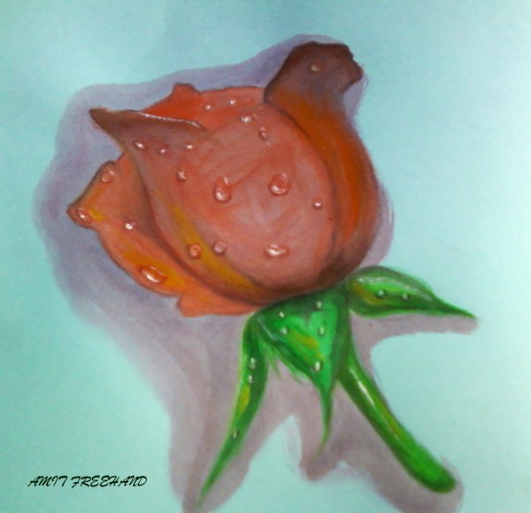 Painting Of A Half Bloomed Rose - DesiPainters.com