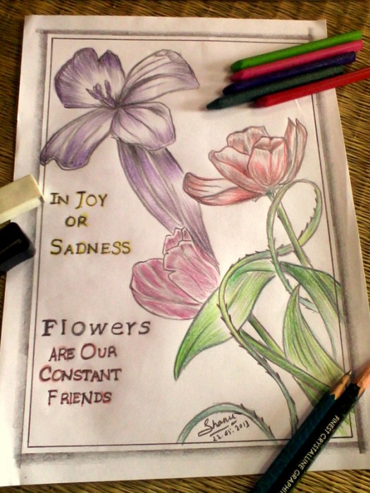 Pencil Colors Painting Of Flowers - DesiPainters.com