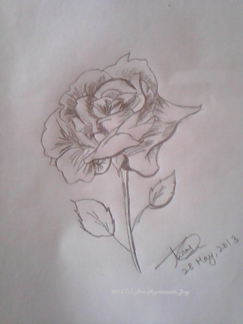 Sketch Of A Rose By Thishaja