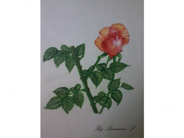 Flower Painting