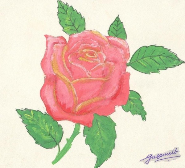Rose Flower - DesiPainters.com
