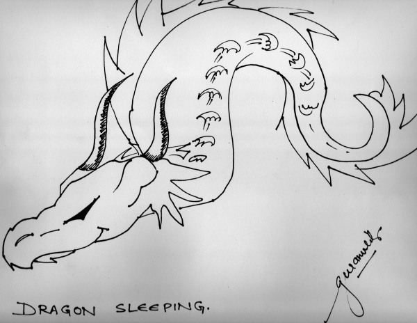 Outline Sketch - Dragon Sleeping