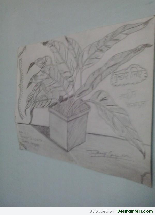 Pencil Sketch Of A Plant Pot - DesiPainters.com