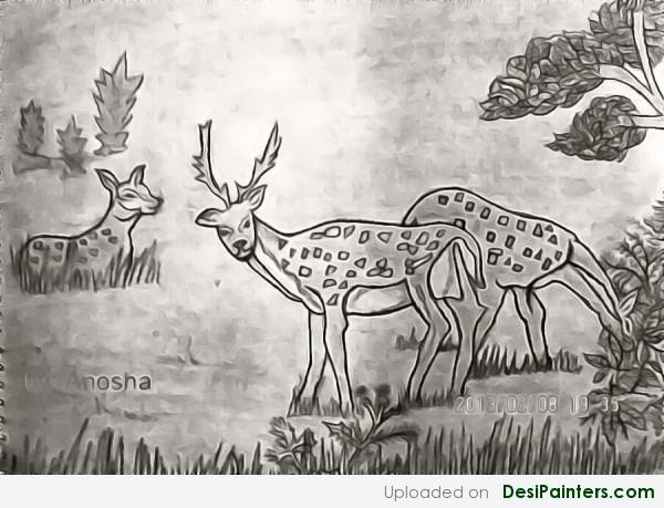 Pencil Sketch Of Loving Deers
