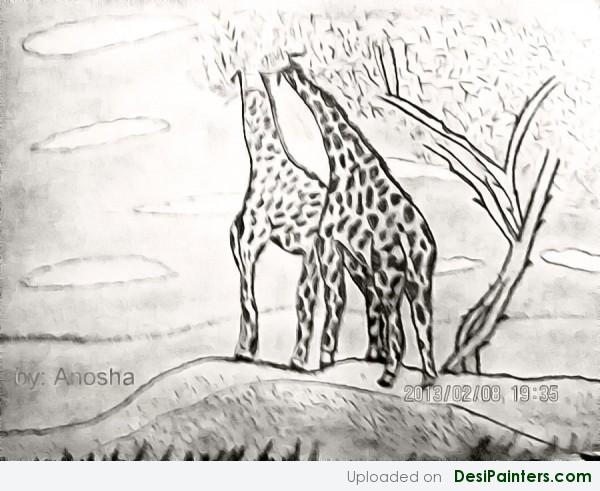 Pencil Sketch Of Giraffes - DesiPainters.com