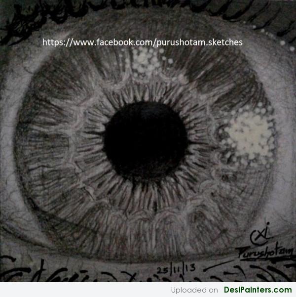 Charcoal Sketch Of Human Eye Ball - DesiPainters.com