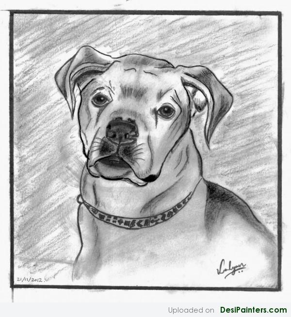 Pencil Sketch Of Pet Ben By Kalyan.K