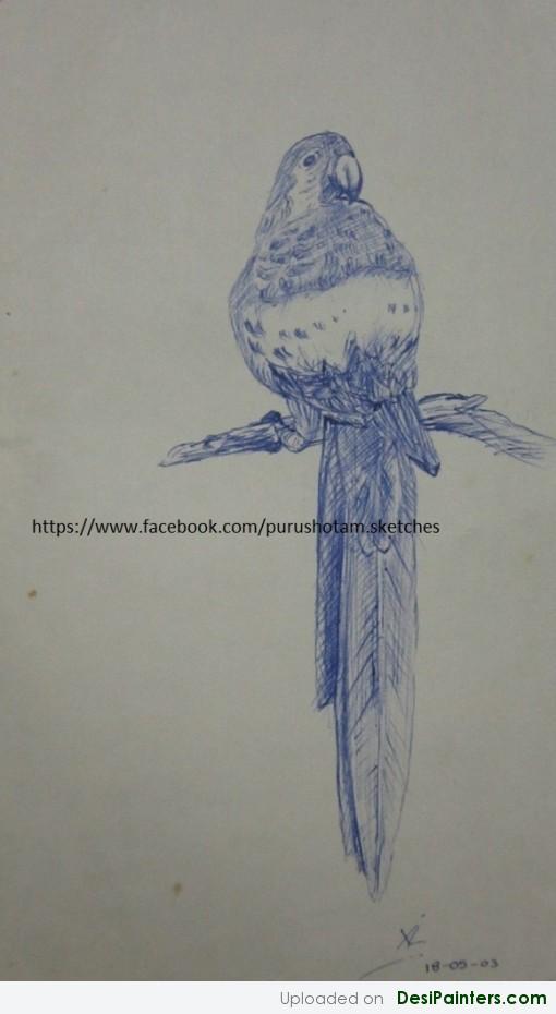 Pencil Sketch Of A Bird - DesiPainters.com