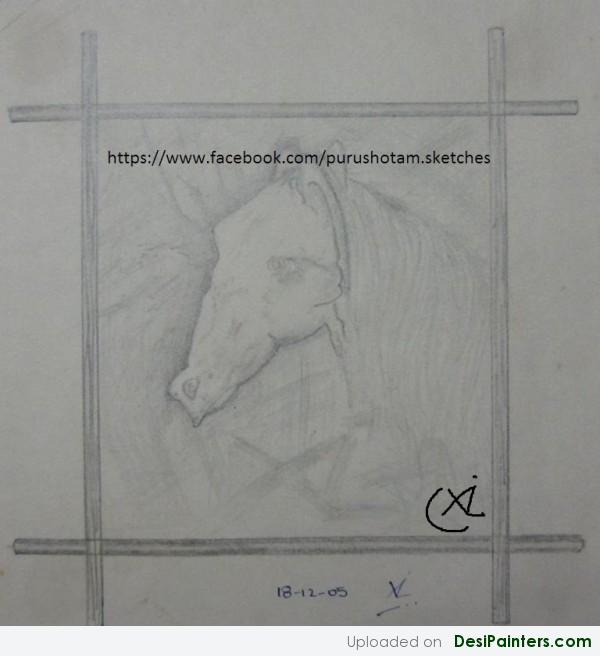Pencil Sketch Of A Horse - DesiPainters.com