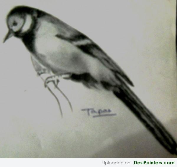 Pencil Sketch Of A Bird - DesiPainters.com