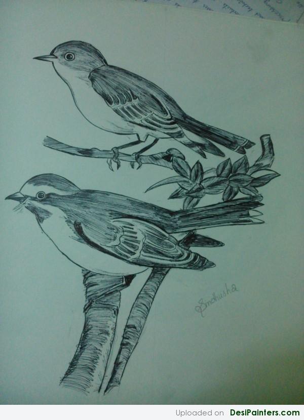 Sketch Of Sparrows By Sindhusha