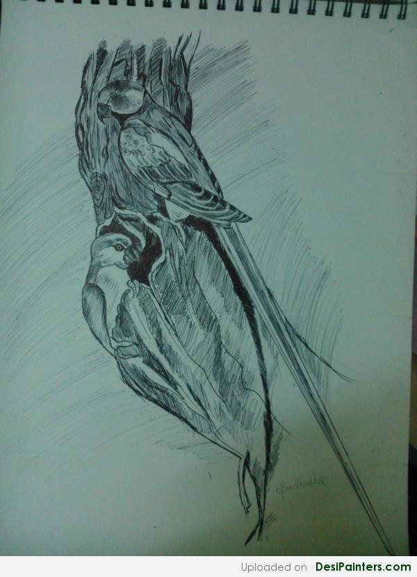 Pencil Sketch Of Parrots