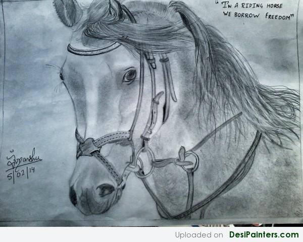 Pencil Sketch Of A Horse - DesiPainters.com