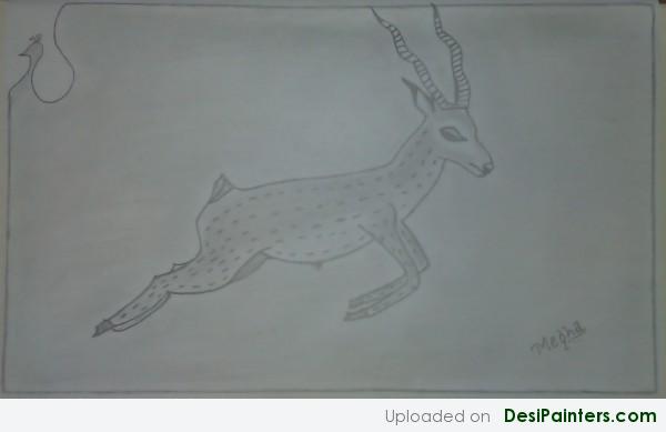 Pencil Sketch Of Deer