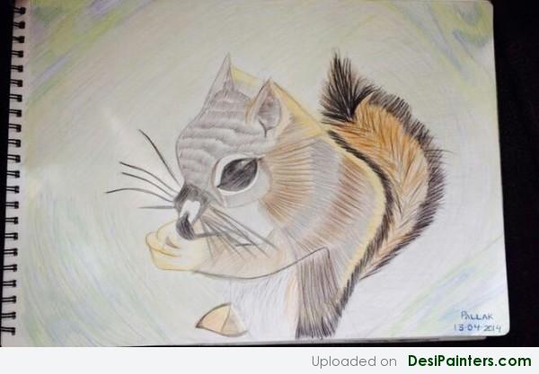 Sketch Of A Squirrel - DesiPainters.com