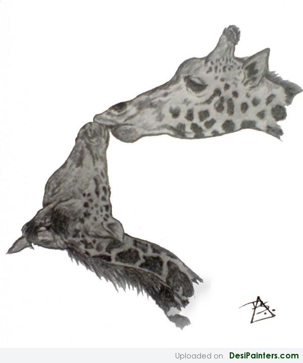Charcoal Sketch Of Giraffes