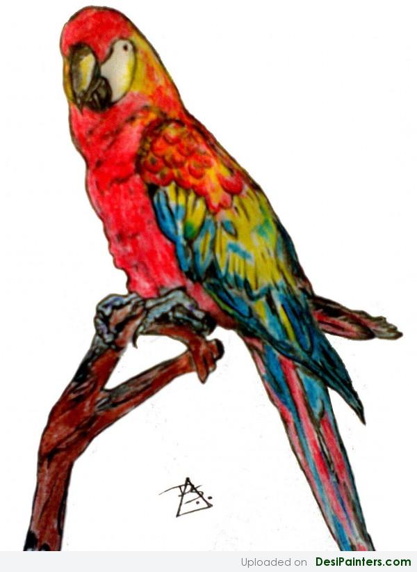 Painting Of A Colorful Parrot