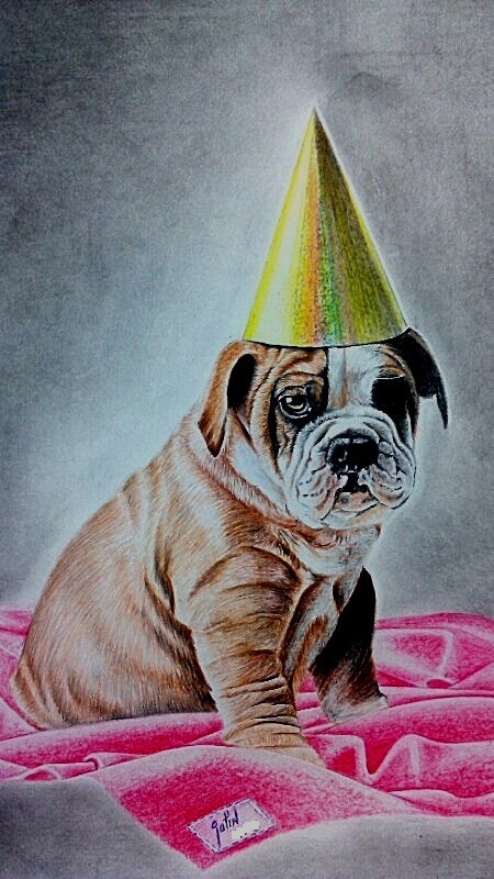 Painting Of A Dog On B’day - DesiPainters.com