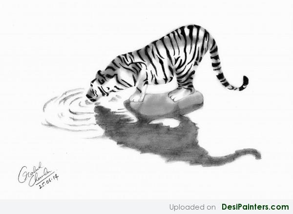 Sketch Of A Tiger and its Shadow - DesiPainters.com