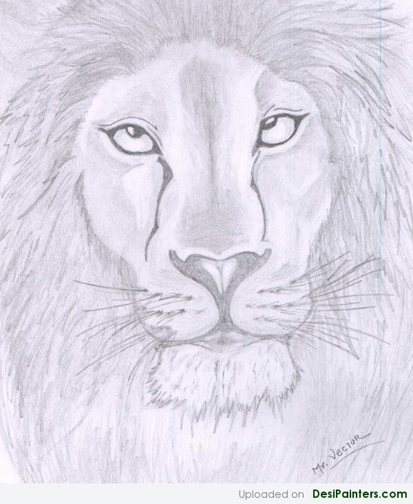 Pencil Sketch Of A Lion