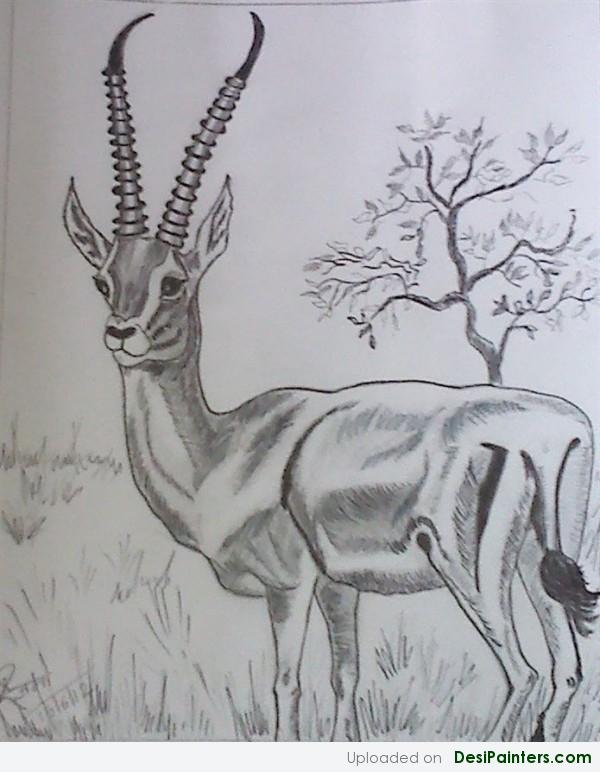 Pencil Sketch Of Spring Buck - DesiPainters.com