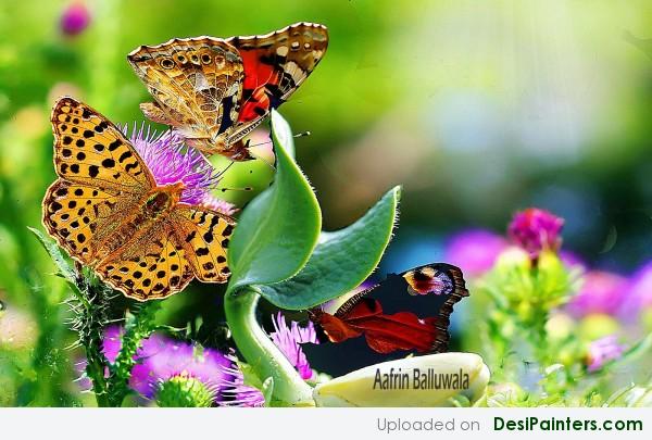 Digital Painting Of Butterflies