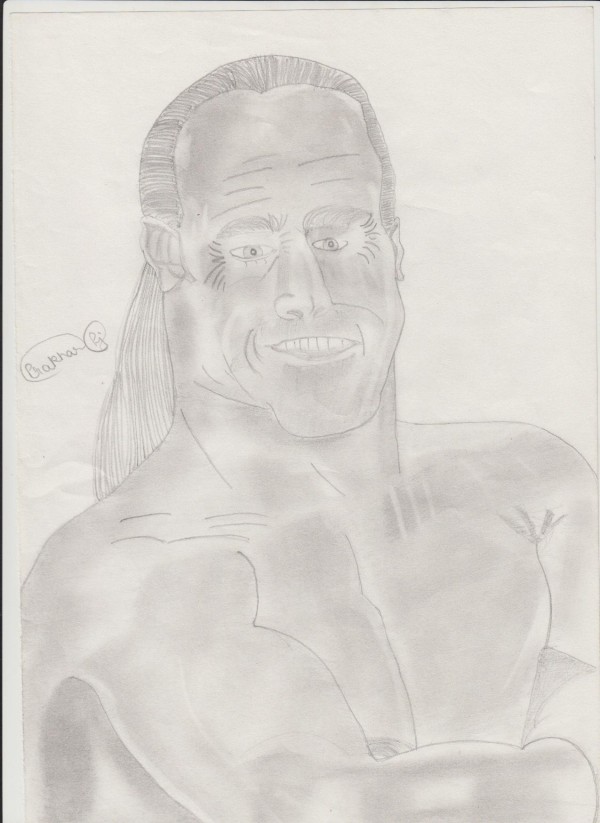 WWE Wrestler Shawn Michaels - DesiPainters.com