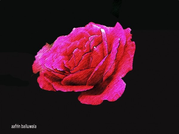 Rose Digital Painting - DesiPainters.com
