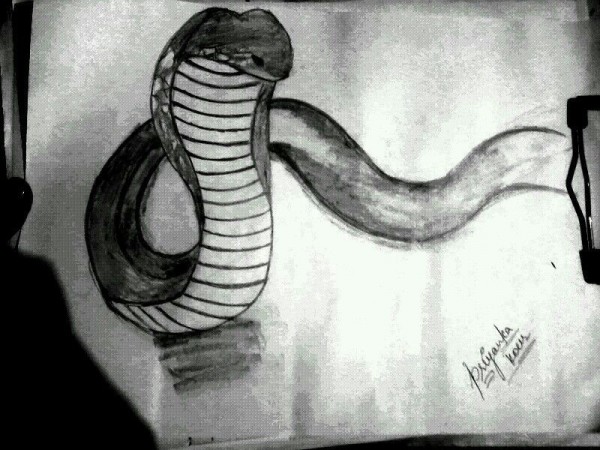 3D Snake Pencil Sketch - DesiPainters.com