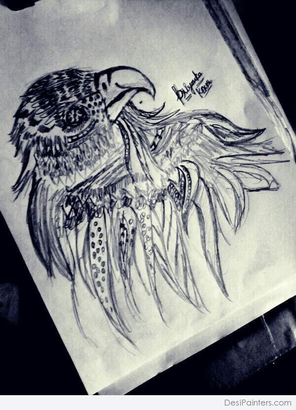 Pencil Sketch Of Eagle