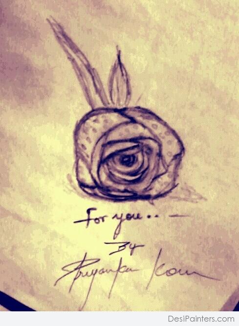 Pencil Sketch Of A Rose