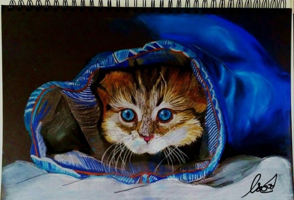 Oil Painting Of Kitten - DesiPainters.com