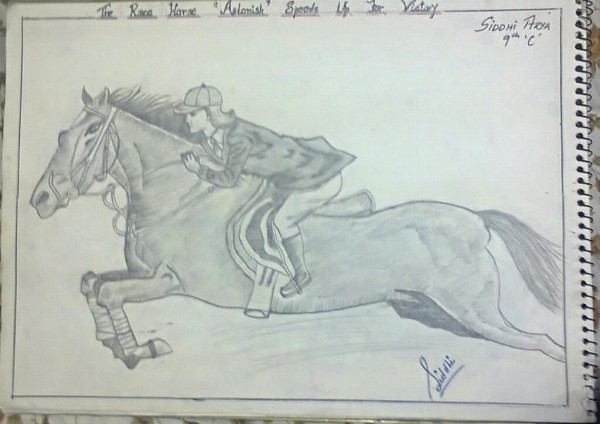 Pencil Sketch Of Man On Horse - DesiPainters.com