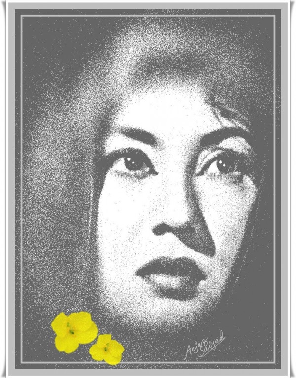 Digital Painting Of Meena Kumari - DesiPainters.com