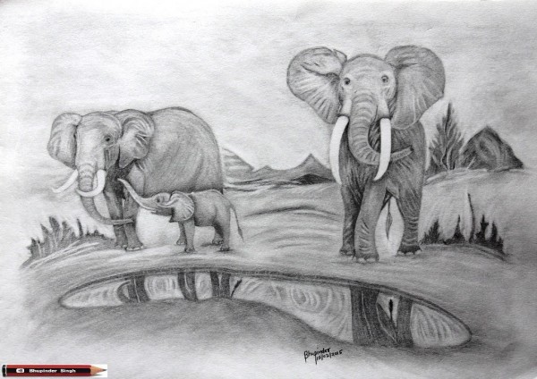 Pencil Sketch of elephants drinking water - DesiPainters.com
