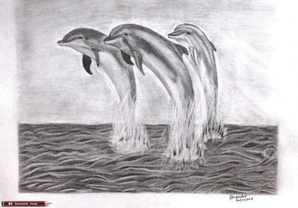 Dolphins playing in sea - DesiPainters.com