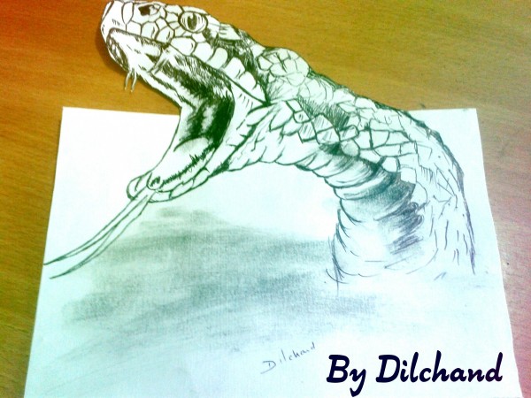Pencil Sketch Of 3D Anaconda - DesiPainters.com