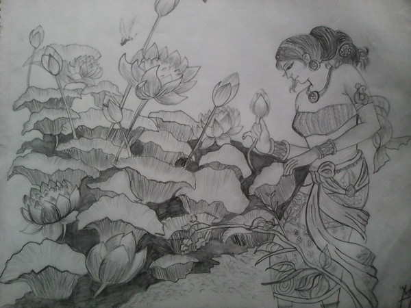 Pencil Sketch Of Lotus  Garden - DesiPainters.com