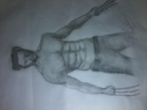 Pencil Sketch Of Wolverine 