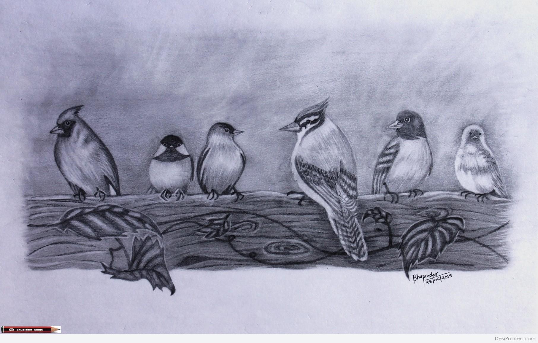 Quick sketching birds! A drawing exercise for beginner artists - YouTube