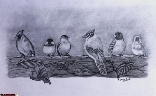 Pencil Sketch Of Small Birds - DesiPainters.com