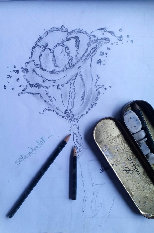 Water's Rose Pencil Sketch By Basudev Patra